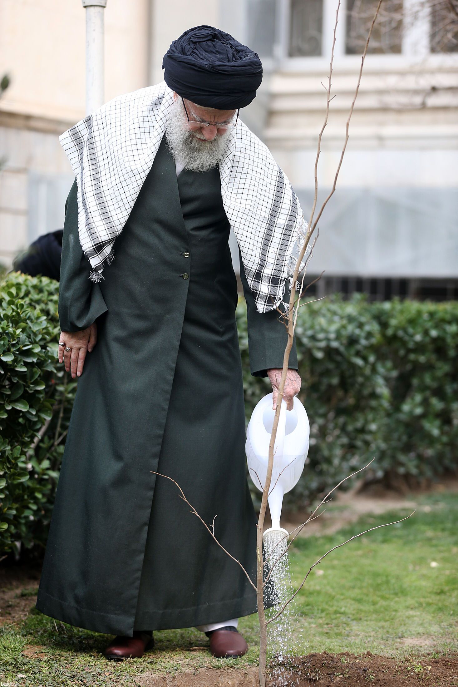 Iran’s ruler Ali Khamenei planting a sapling on March 5, 2024 