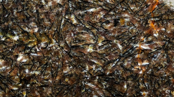 برشی نازک و صیقلیشده از شهابسنگ شمال غرب آفریقا ۱۶۲۸۶ نشان میدهد که دانههای سیاهرنگ و سوزنیشکل موجود در تصویر از جنس کانی ایلمِینیت هستند. میدان دید عمودی تصویر برابر با ۲ میلیمتر است