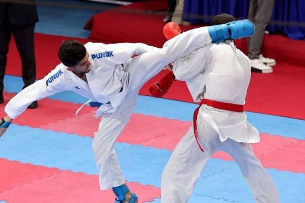 نامه ۵۱چهره برجسته کاراته ایران به فدراسیون جهانی برای تعلیق فدراسیون کاراته جمهوری اسلامی