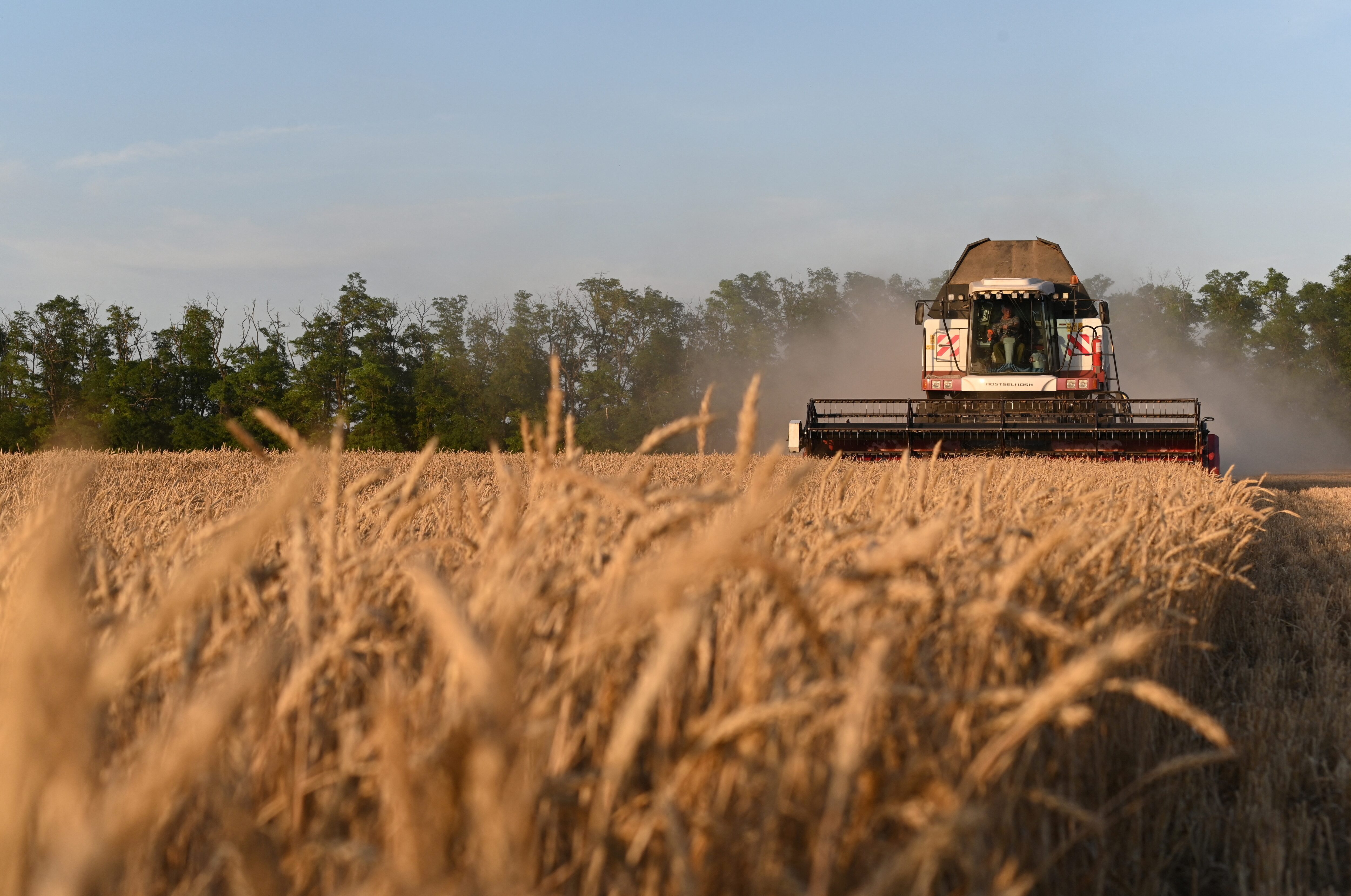 Iran resumes wheat imports from Caspian nations after three-year halt - Tasnim