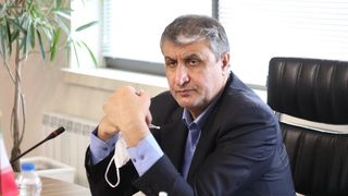 Details Of Nuclear Deal Emerge As Iran Demands An End To IAEA Probe