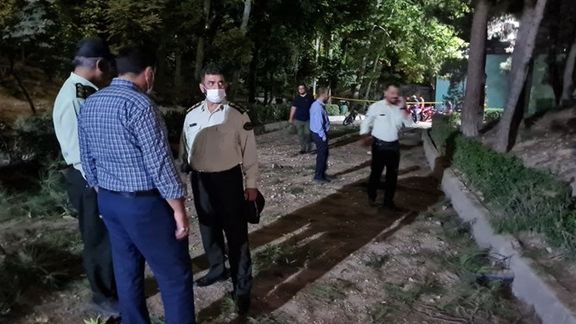 سخنگوی دولت: عامل انفجار در پارک ملت مخلوط بنزین و گازوئیل بود