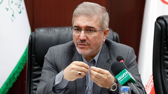 Davoud Manzour, the head of Iran's Plan and Budget Organization