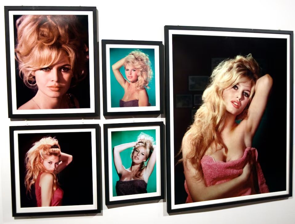 بریژیت باردو، اسطوره سینمای فرانسه، در ۹۱ سالگی درگذشت