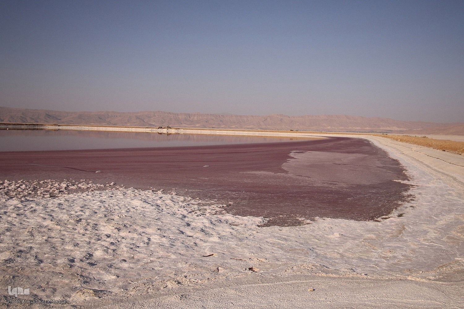 خبرگزاری ایلنا: تقریبا هیچ تالاب زنده‌ای در استان فارس باقی نمانده است