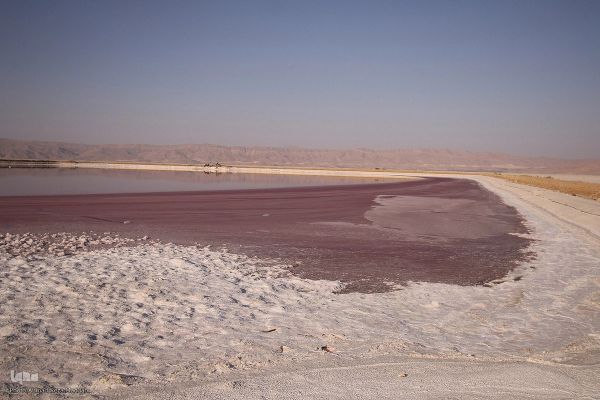 كارثة بيئية وصحية.. وكالة "إيلنا": لم يبقَ تقريبًا أي مستنقع مائي في محافظة فارس بإيران