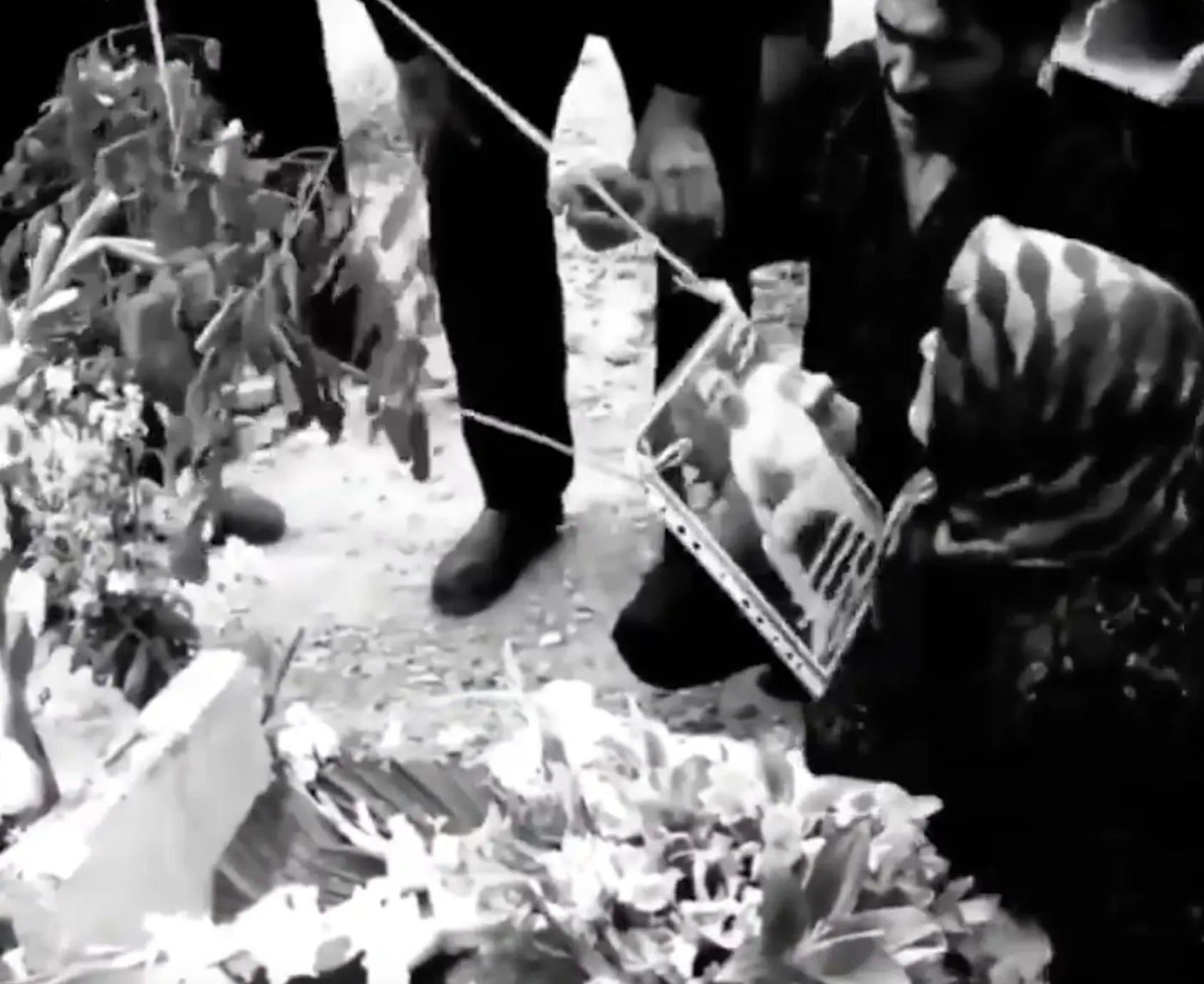 موج گسترده محکومیت اعدام سه معترض در اصفهان و تاکید بر لزوم سرنگونی جمهوری اسلامی