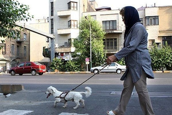 Realtor Arrested In Iran Over Sale Of Apartemnt To A Dog