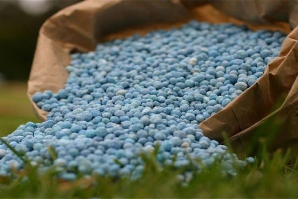 سایت رویداد ۲۴: کود شیمیایی در ایران با جهشی چندصددرصدی مواجه شده است