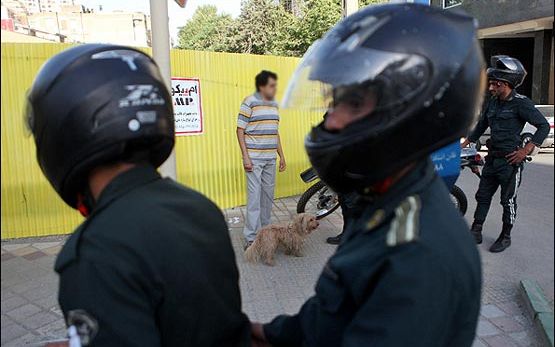 عضو مجلس خبرگان رهبری: سگگردانی مبارزه با هویت ملی ماست و در قم معنا ندارد