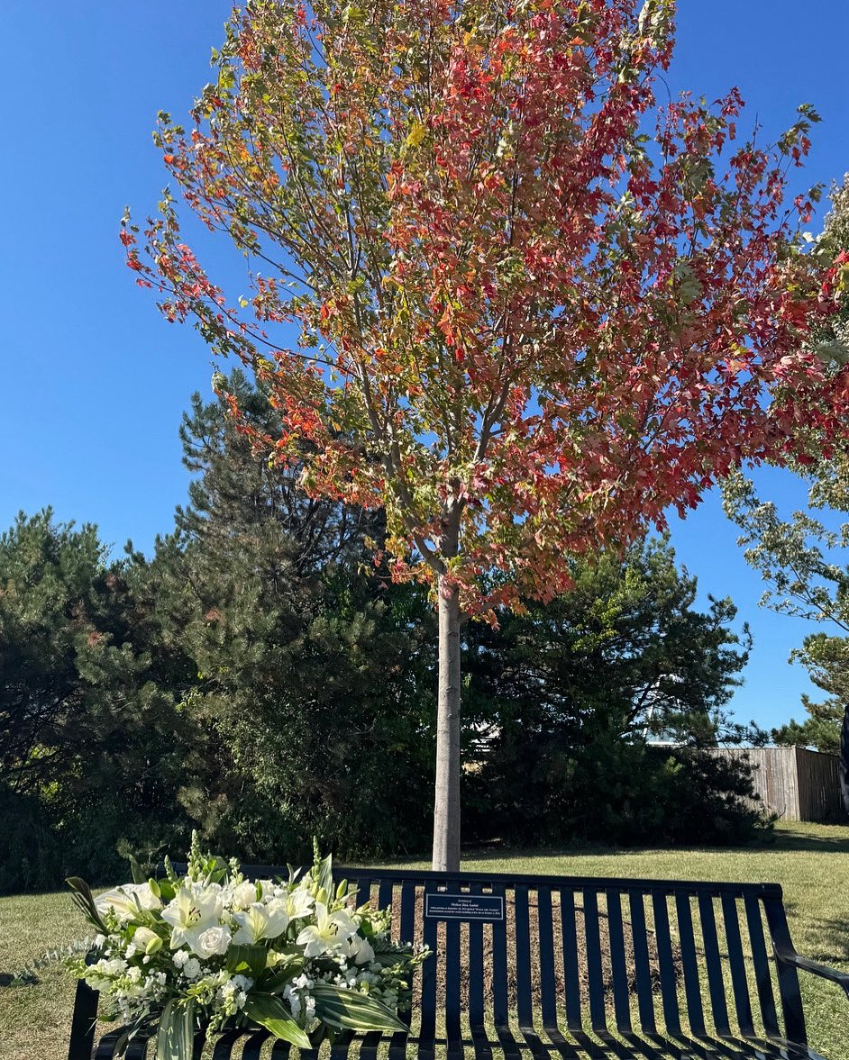 تورونتو: إزاحة الستار عن شجرة ونصب تذكاري باسم مهسا أميني