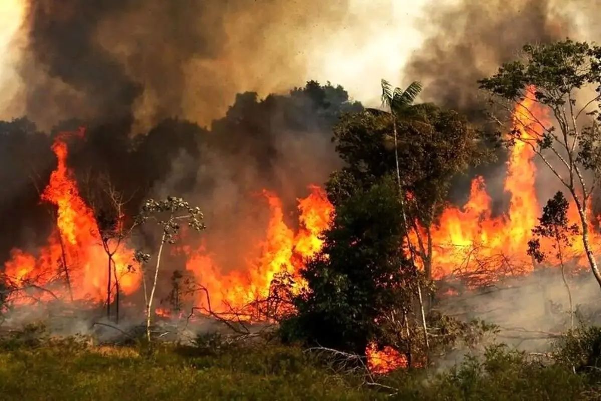 روزنامه هم‌میهن: خاموش کردن آتش الیت با یک بار آب‌پاشی در روز امکان‌پذیر نبود 