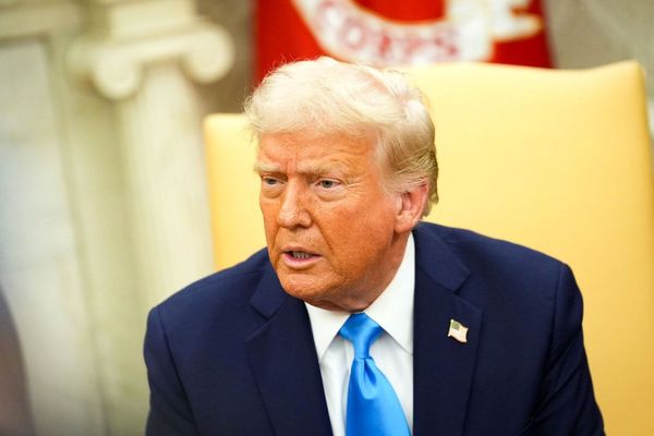 دونالد ترامپ: بدون آمریکا، ناتو یک ببر کاغذی است