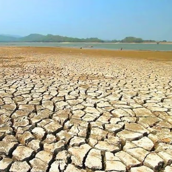 Iran faces imminent soil bankruptcy after years of decline, official says