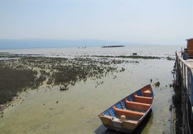 تنها سه تا پنج سال برای نجات خلیج گرگان فرصت باقی است