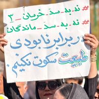 مخالفان سدسازی در محل جلسات پزشکیان در یاسوج تجمع کردند