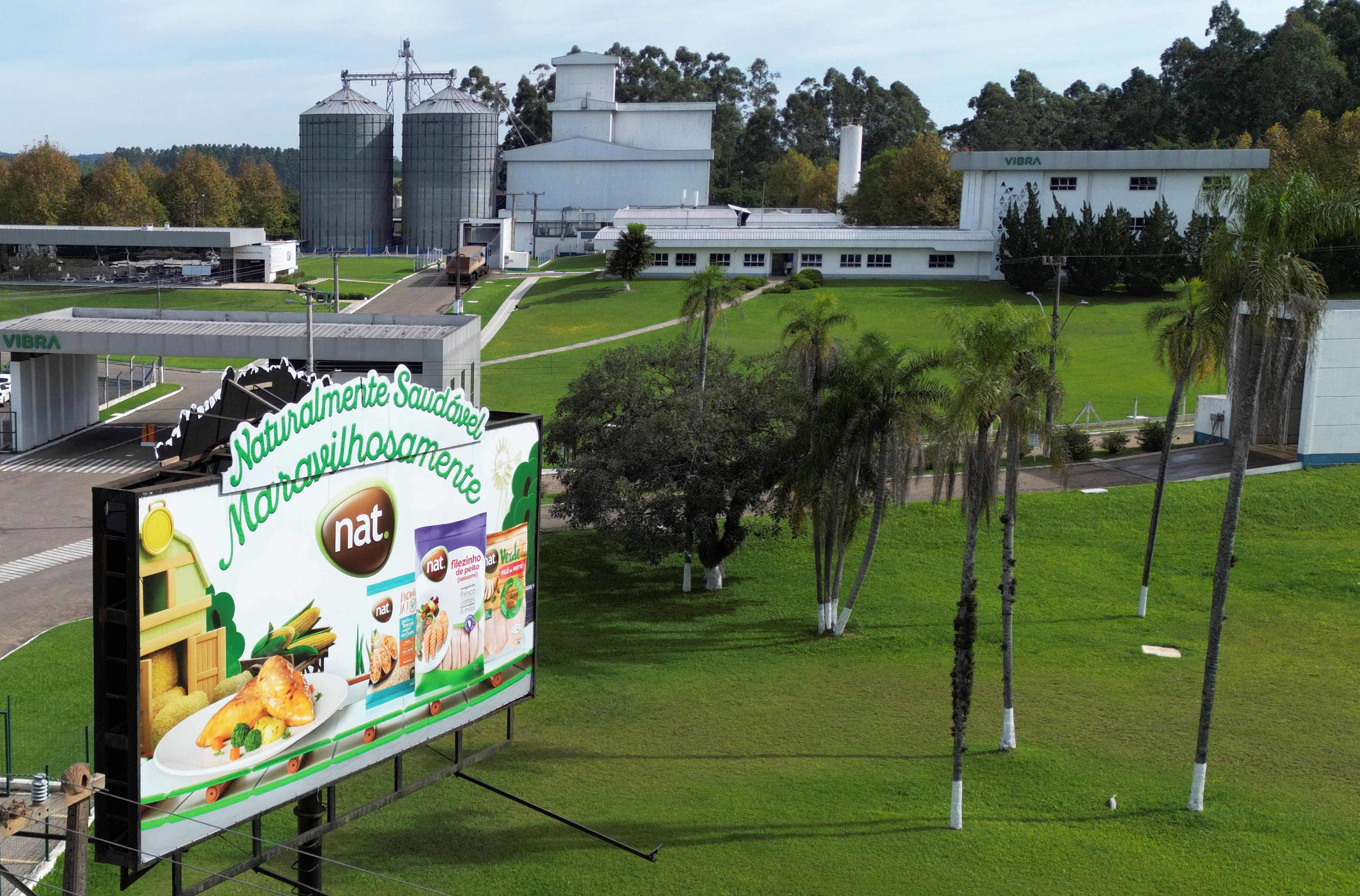 برزیل شیوع آنفلوآنزای پرندگان را تایید کرد؛ واردکنندگان مرغ محدودیت‌های ویژه اعمال می‌کنند