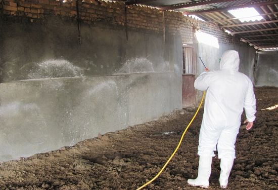 سم‌پاشی جایگاه‌های نگهداری دام