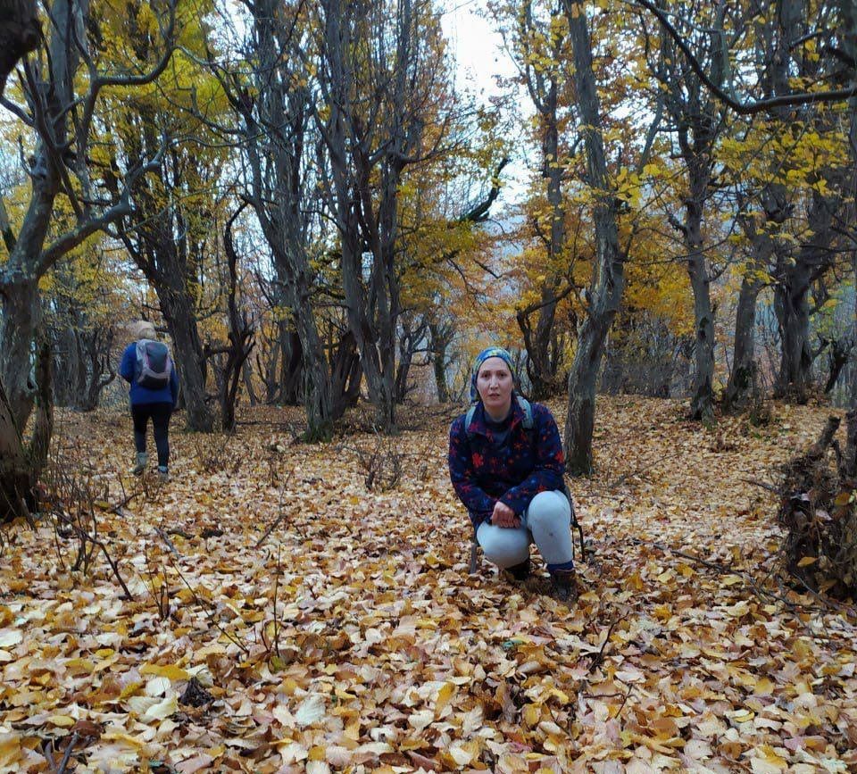 گزارشگر سازمان ملل پرونده شریفه محمدی را نمونه روشن ضرورت فوری لغو اعدام دانست
