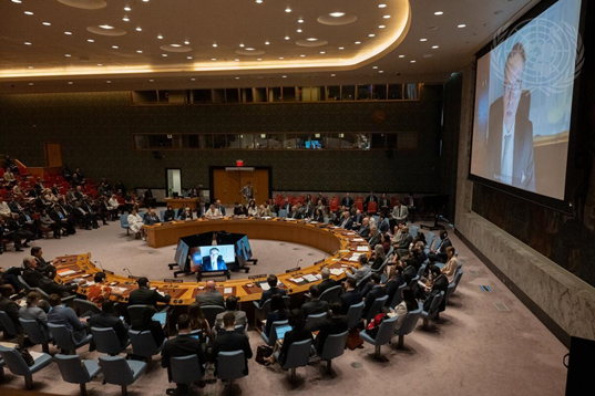 نماینده آمریکا در نشست شورای امنیت: ترامپ مرد عمل است و خامنهای آن را میداند