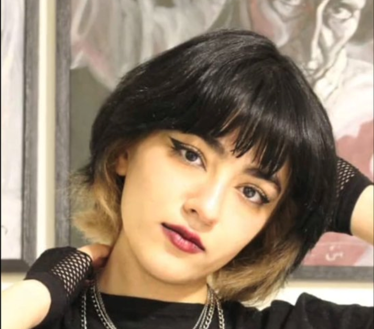 Nika Shakrami, who disappeared for 10 days after being chased in the street by security agents