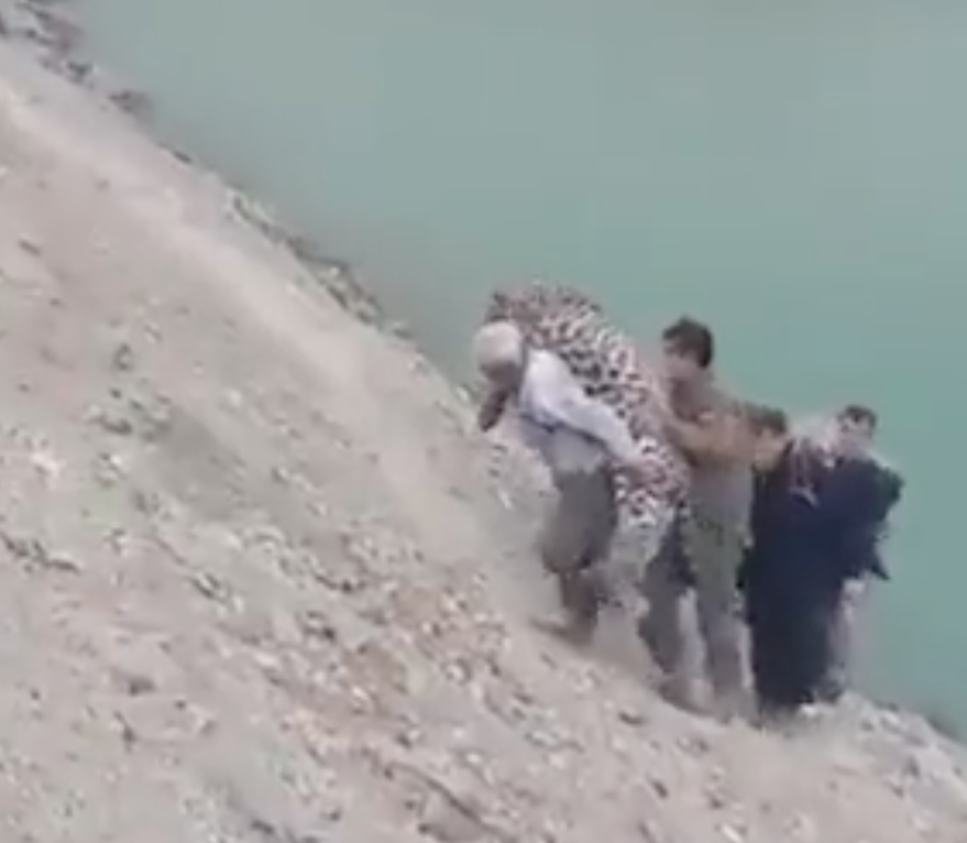 پلنگ زخمی ارتفاعات البرز به دلیل وخامت وضعیت جسمانی‌ تلف شد