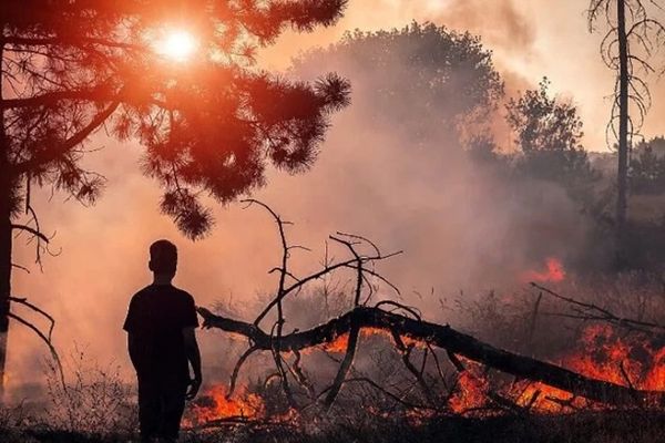 Turkey sends aircraft to help battle Iran wildfires