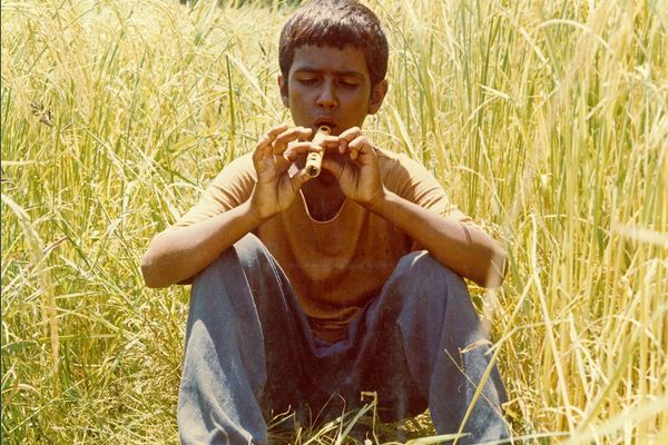 «باشو، غریبه کوچک» و فرزندان آفتاب و زمین