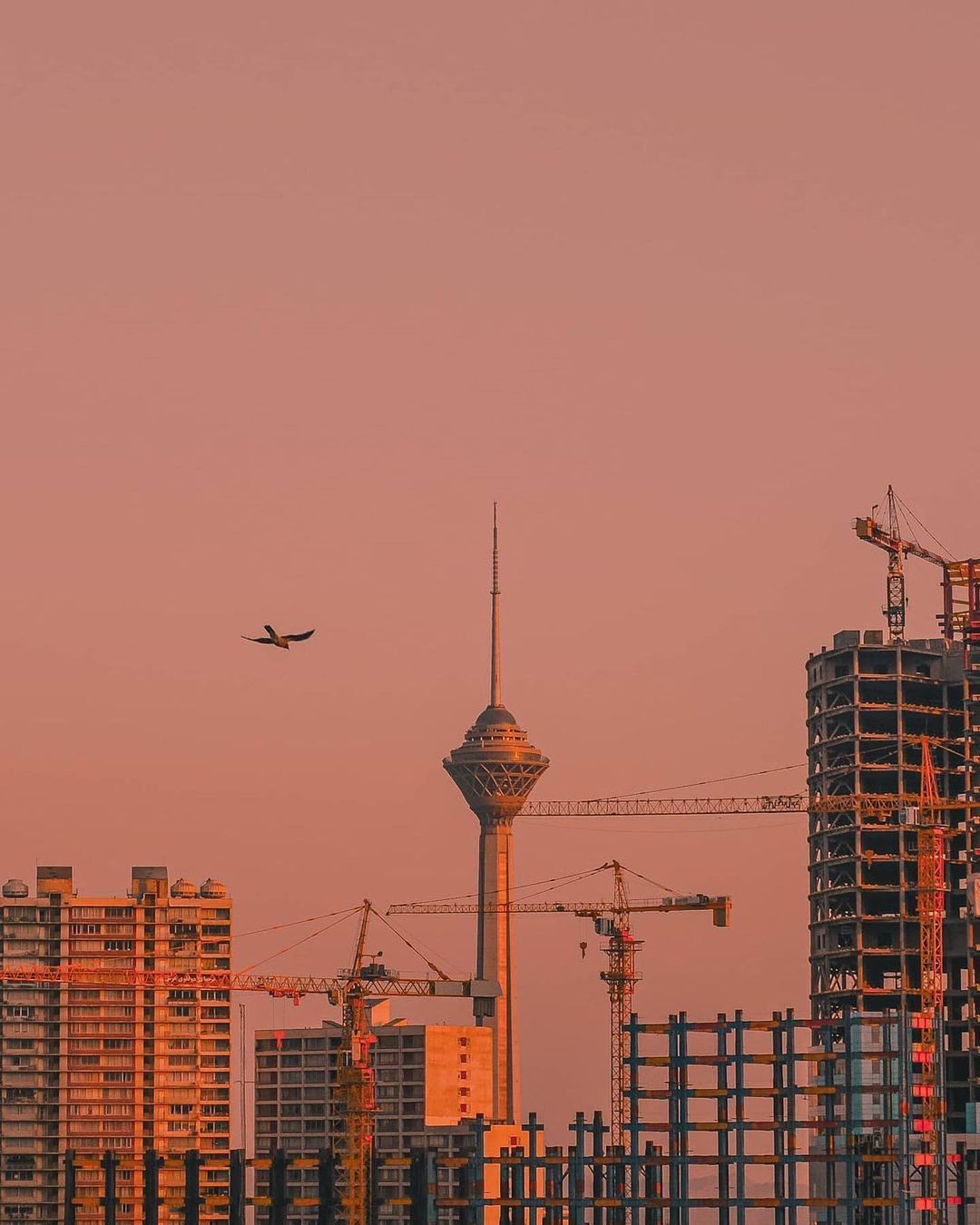 رییس کانون انبوه‌سازان: حضور چینی‌ها برای ساخت‌وساز در ایران به تخفیف نفتی ربط دارد