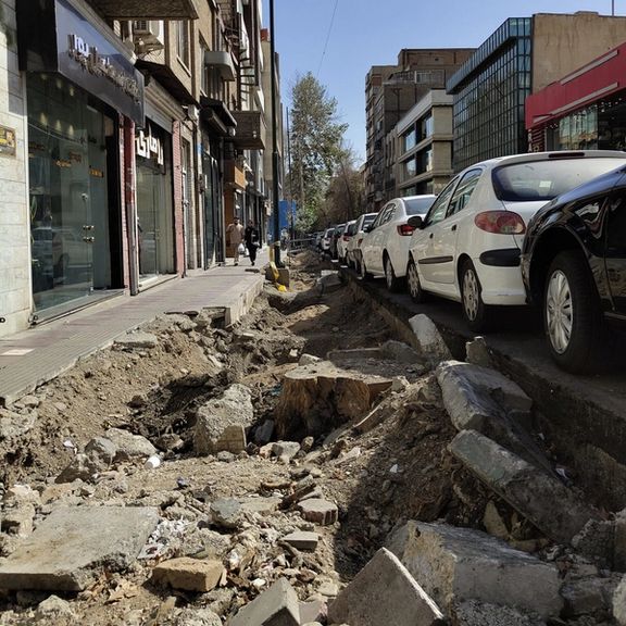 شهرداری به بهانه وجود آفت و درخواست مردمی درختان خیابان فلسطین تهران را سر برید