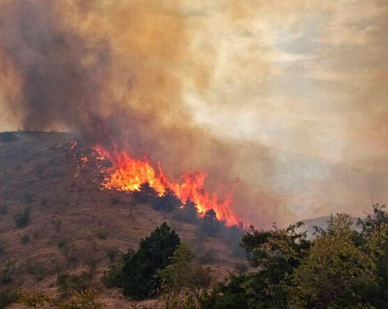 منابع طبیعی مازندران:طی سه روز گذشته، سه هکتار از عرصههای طبیعی دچار آتشسوزی شد