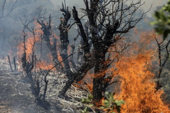 رییس منابع طبیعی آستارا: ۲۵۰۰ متر از جنگلهای آستارا در آتش سوخت