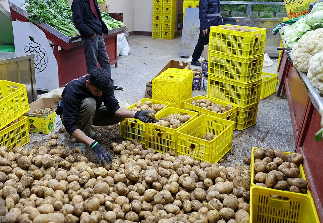 افزایش قیمت سیب‌زمینی در ایران؛ یک نماینده مجلس: به واردکننده سیب‌زمینی تبدیل شده‌ایم