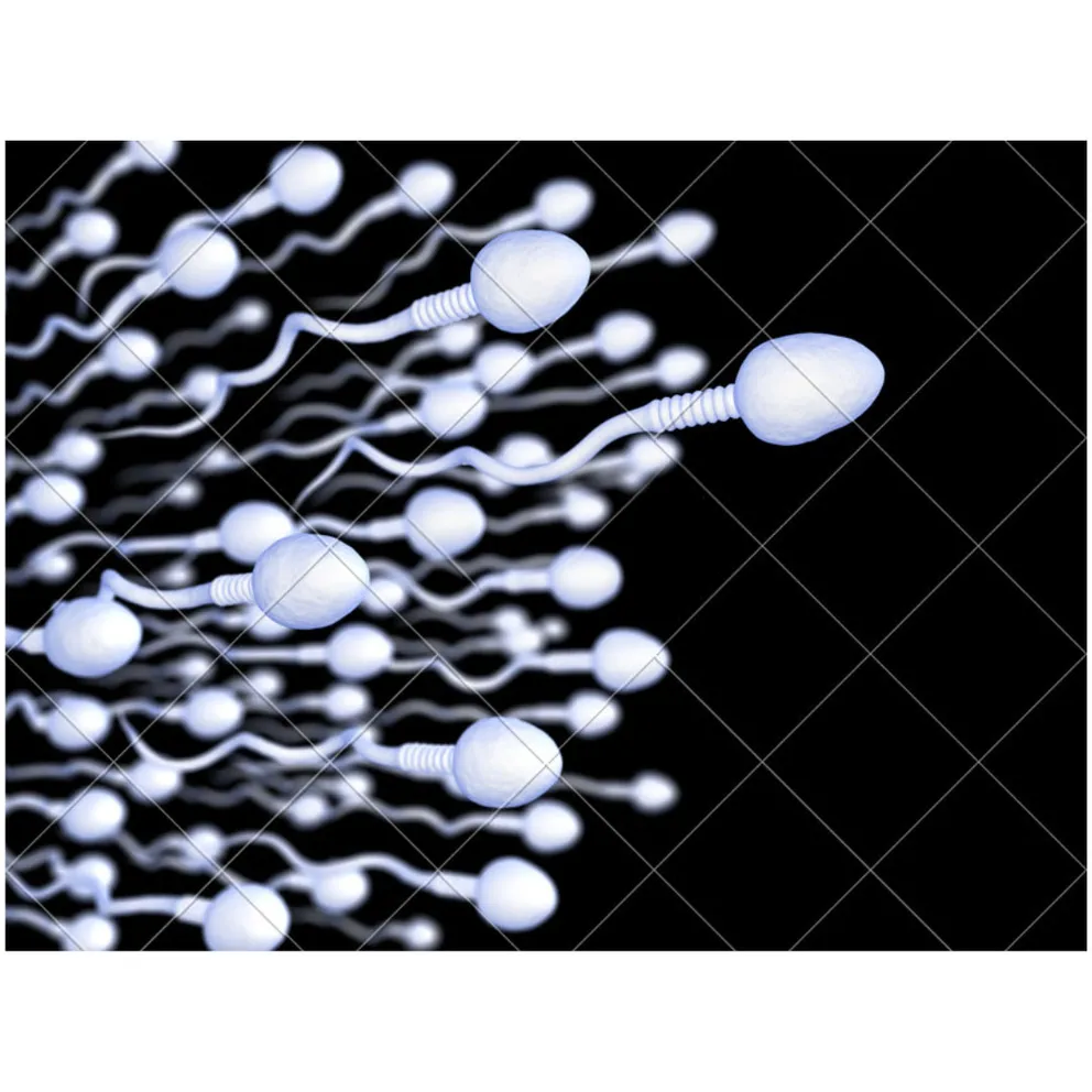 اهدای اسپرم حامل ژن سرطان‌زا؛ ۱۰ کودک از ۶۷ کودک به دنیا آمده در اروپا مبتلا شده‌اند