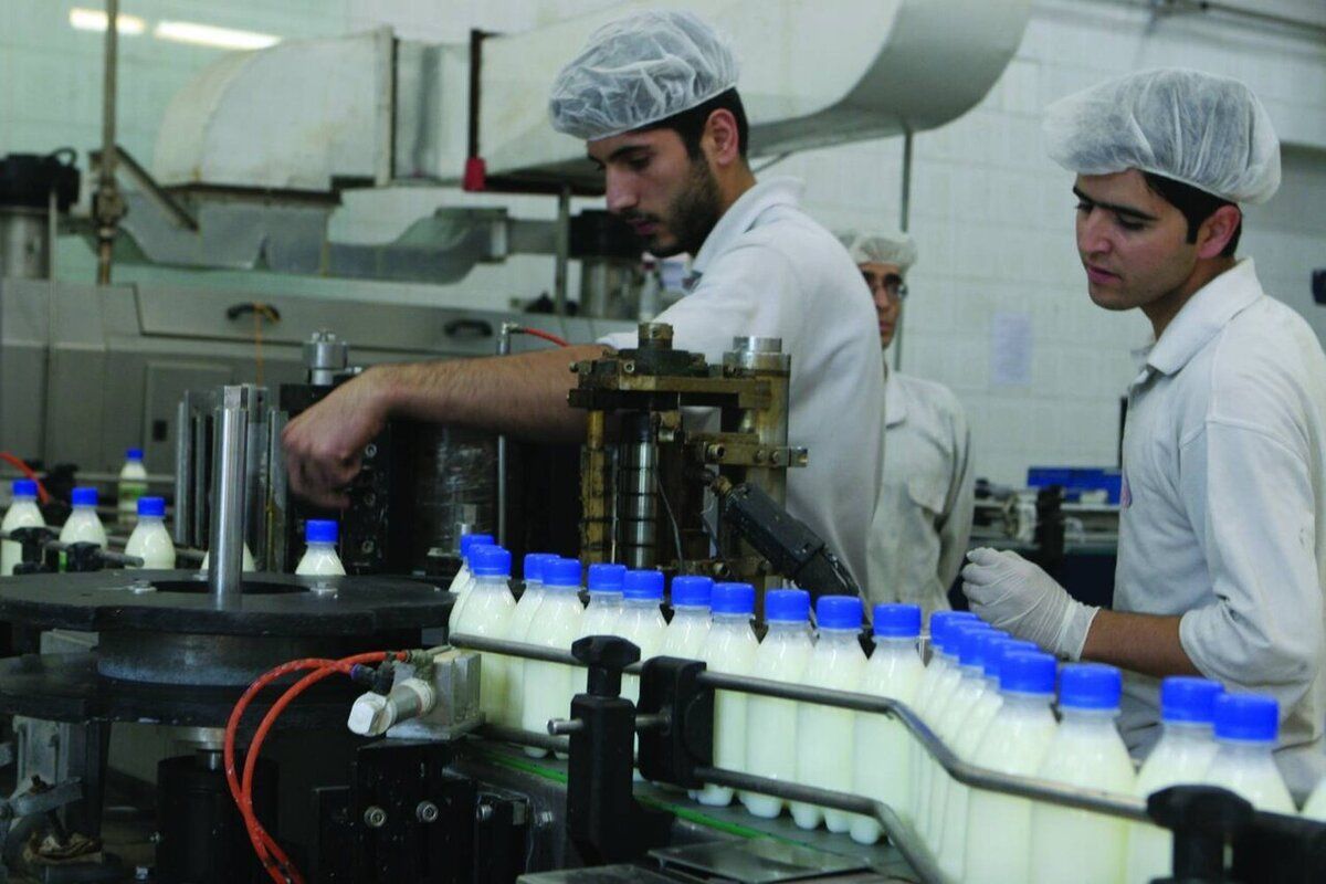 A dairy production unit in Iran (file photo)