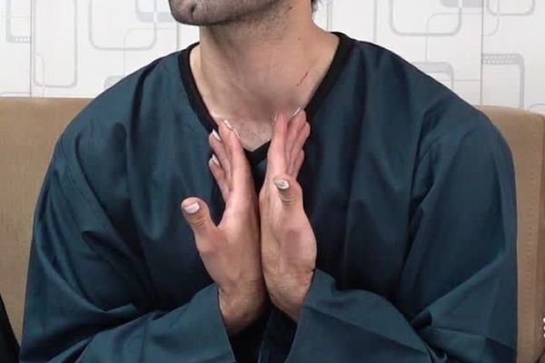 Iranian Actor Charged With Inciting Violence