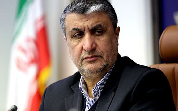 رییس سازمان انرژی اتمی ایران: این مذاکرات وین درباره بازگشت آمریکا به برجام است