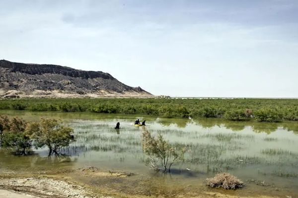 Iran’s Sistan-Baluchestan faces irreversible collapse as Hamoun wetlands dry up