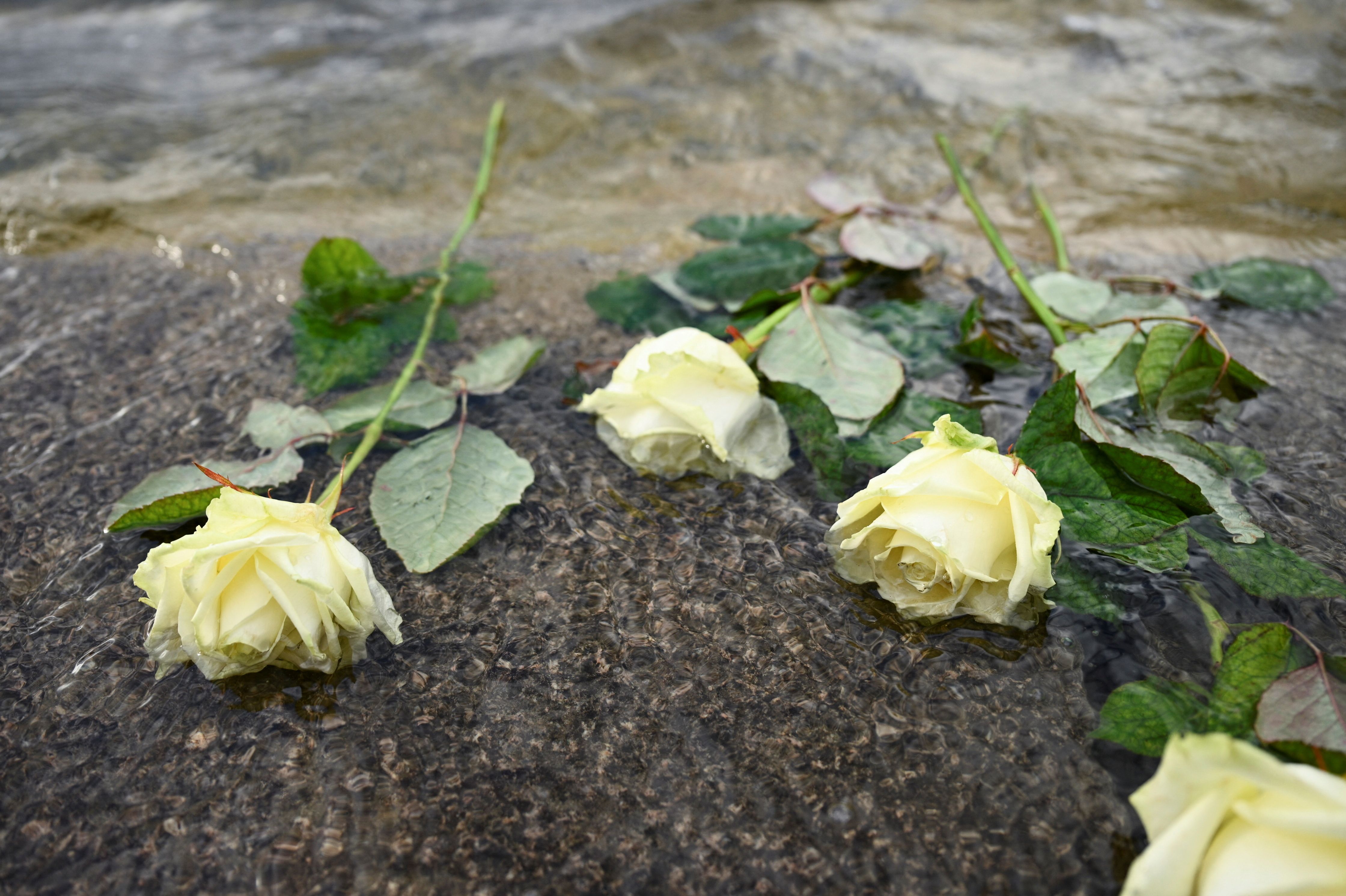 نقطه عطف تاریخ؛ خاستگاه روز جهانی یادبود هولوکاست چیست؟ 