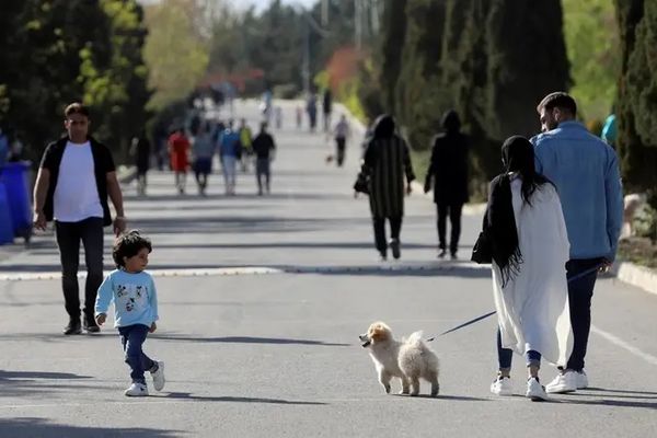Iran extends dog walking bans to more than 20 cities as crackdown widens