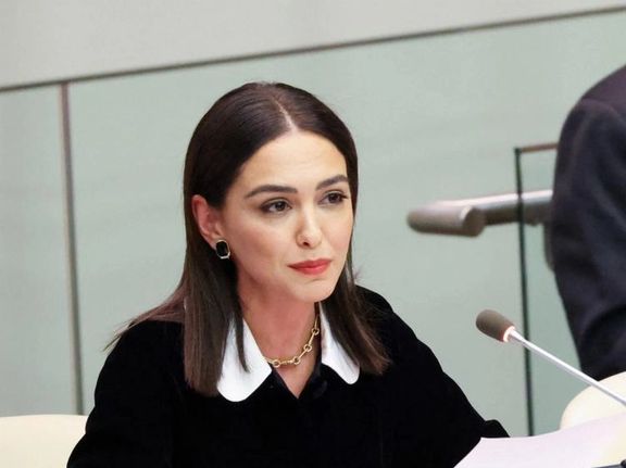 نازنین بنیادی از «شورای همبستگی برای دموکراسی و آزادی در ایران» خارج شد