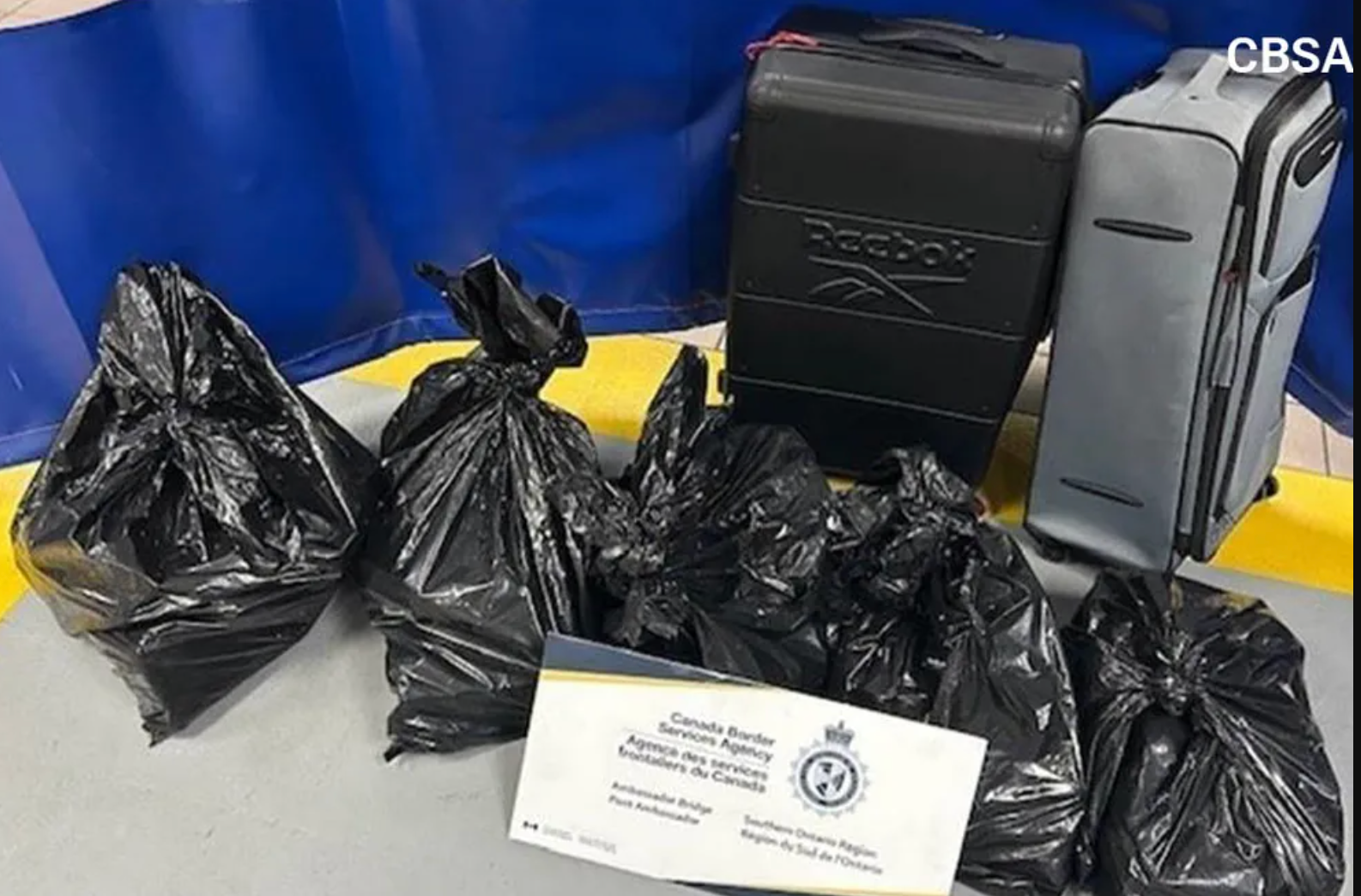 راننده ایرانی‌تبار با ۲۳ میلیون دلار کوکائین در مرز آمریکا و کانادا بازداشت شد