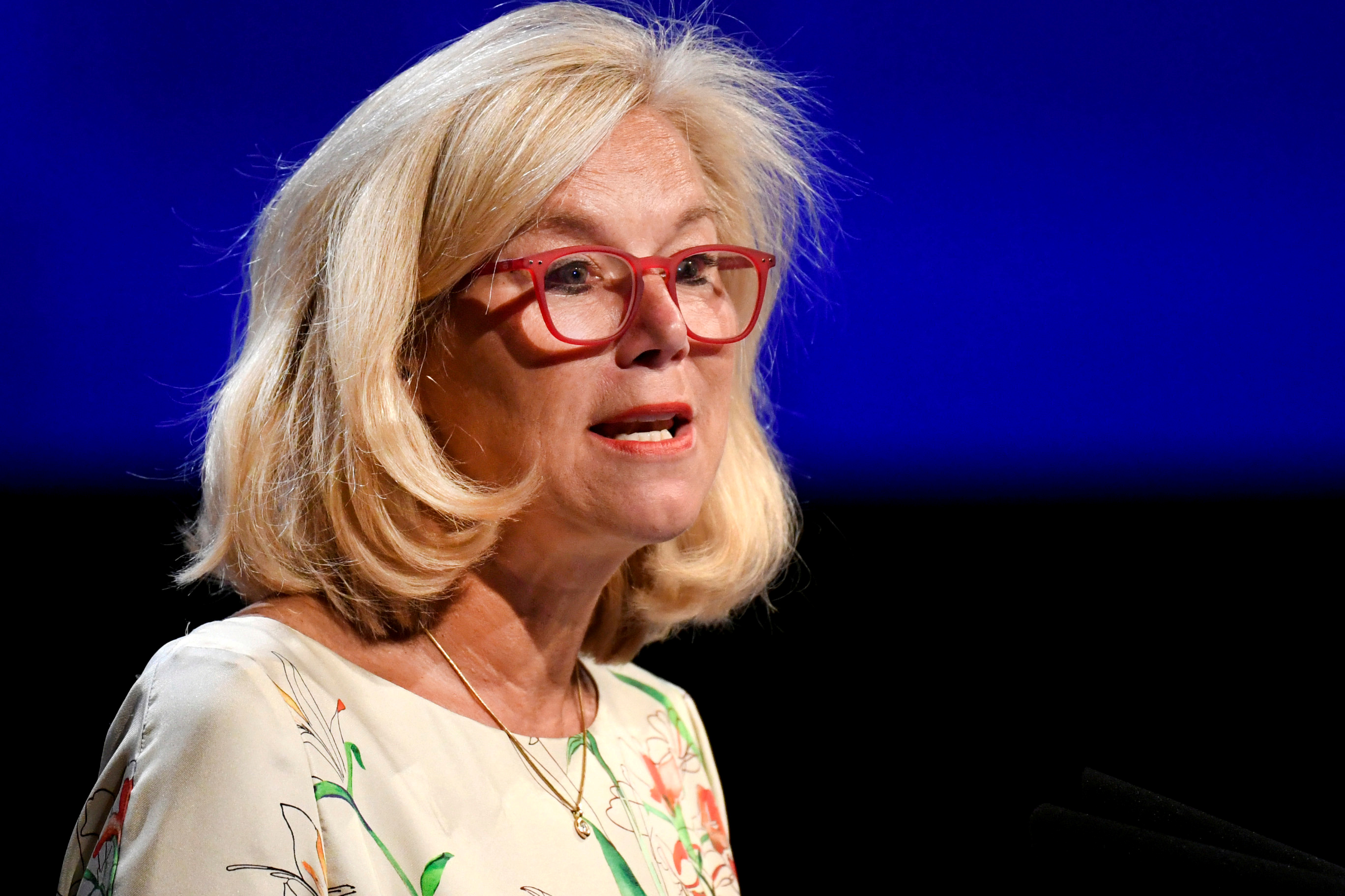 نماینده سازمان ملل در شورای امنیت: کمک‌های سازمان ملل به غزه قابل مذاکره نیستند