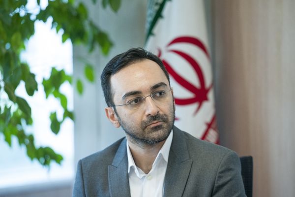 Iran’s Friends Restrict Relations Due To US Sanctions: Official