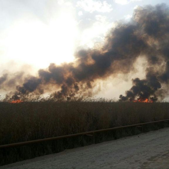محیط زیست خوزستان: آتشسوزی در سه هزار هکتار از هورالعظیم بعد از یک شبانهروز مهار شد