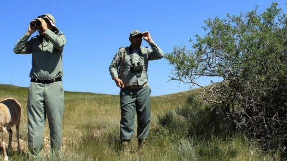 بیانیه گروهی از محیطبانان: اگر قوانین تغییر نکند تعداد بیشتری از ما کشته میشوند