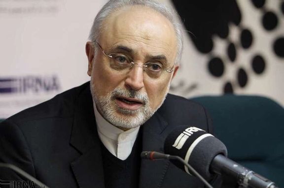 علی اکبر صالحی: تا دو هفته آینده خبر موفقیتهای فنی ایران در زمینه پیشران هستهای اعلام خواهد شد