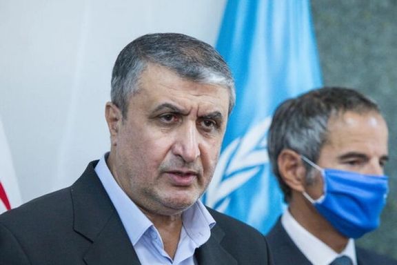 رییس سازمان انرژی اتمی ایران: آژانس حمله به کرج را محکوم نکرد، دسترسیشان را محدود کردیم