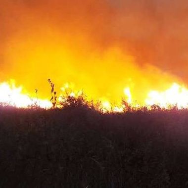 وقوع آتشسوزی و انفجار در یک شرکت تعاونی واقع در میانکاله