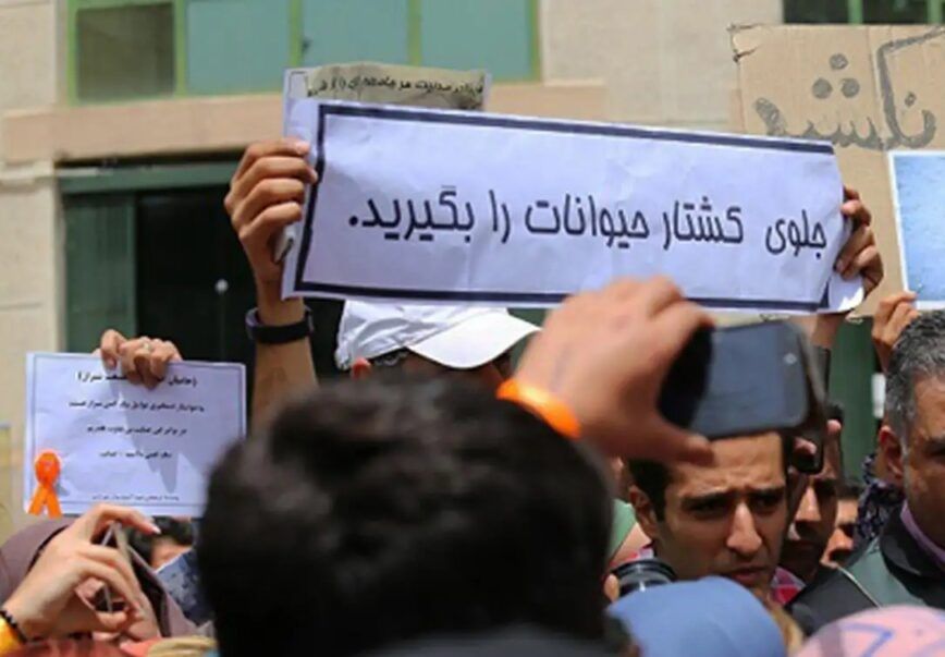 ساکنان پردیس استان تهران در اعتراض به کشتار ده‌ها سگ از سوی شهرداری تجمع کردند